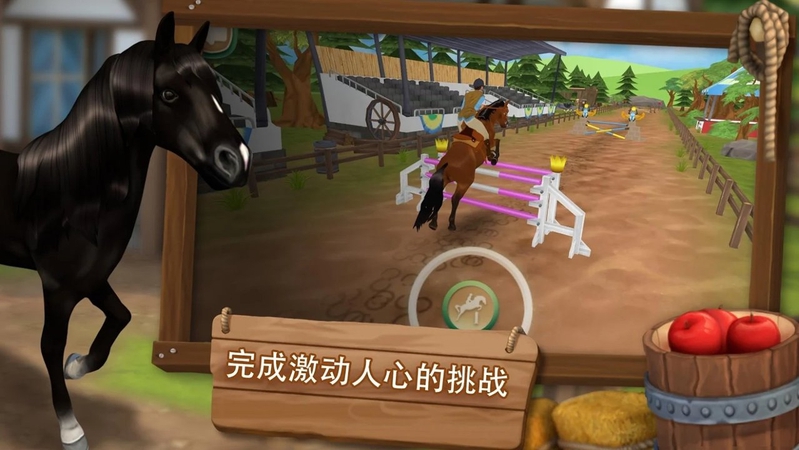 照顾马儿们游戏截图4