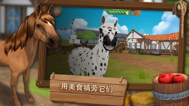 照顾马儿们游戏截图1