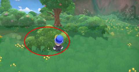 摩尔庄园破解版雨点球怎么获得