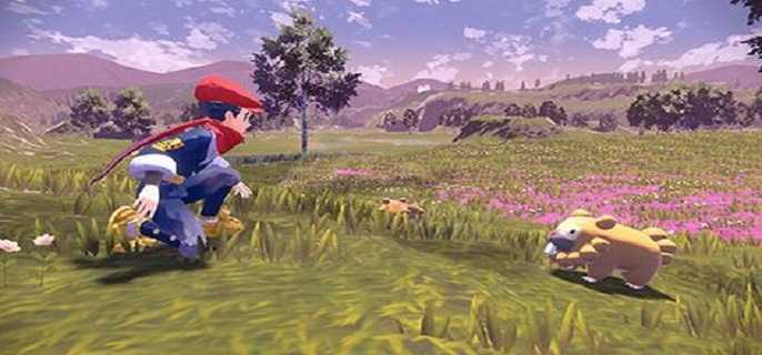 宝可梦传说阿尔宙斯御三家去哪抓?