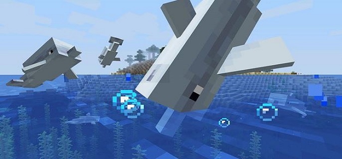 我的世界海豚怎么驯服?