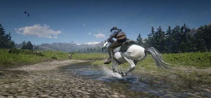 荒野大镖客2寡妇任务怎么触发?