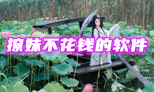 撩妹不花钱的软件