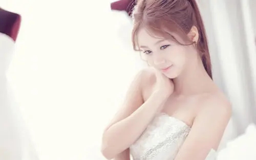 教你聊天帮回复的软件免费