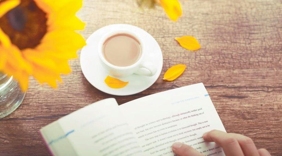 无广告免费看小说软件