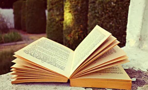 现在什么小说阅读器免费并且无广告