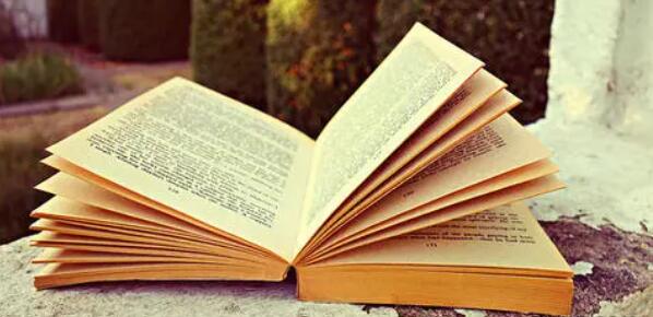 种类多免费的小说软件