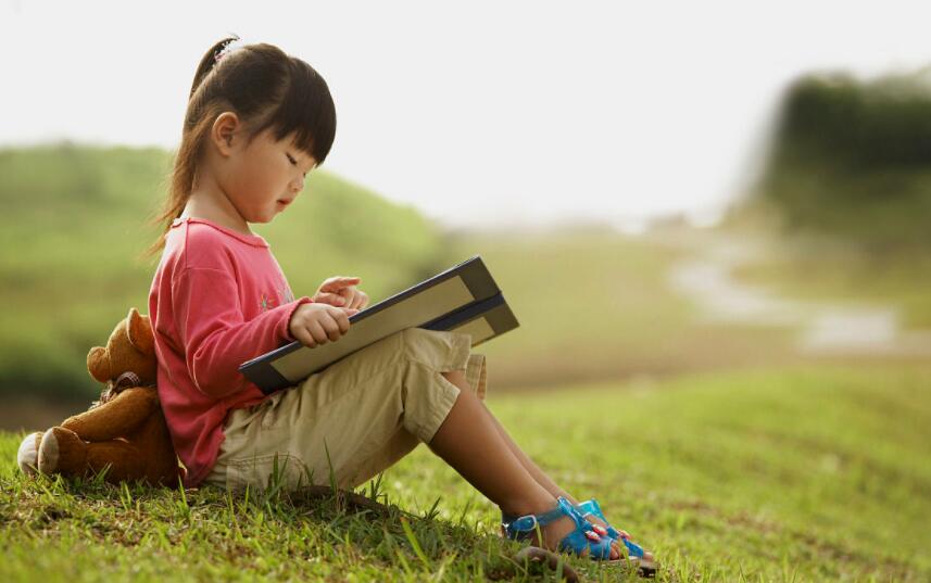 无广告的小说阅读器哪个好