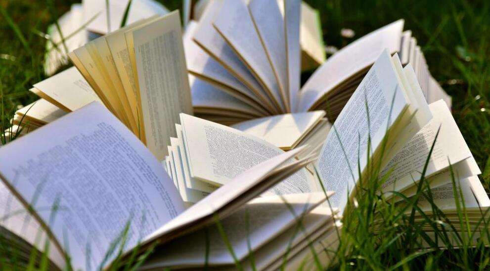 全部免费的小说app有哪些