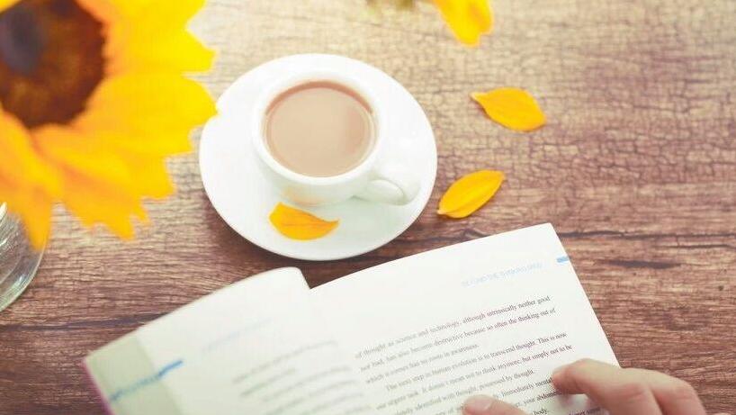 全网小说最全的软件免费