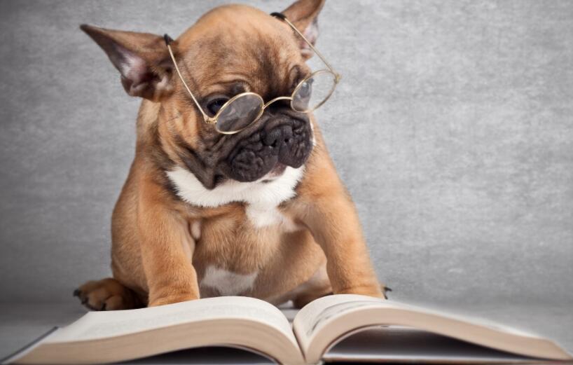 什么小说软件好用又免费