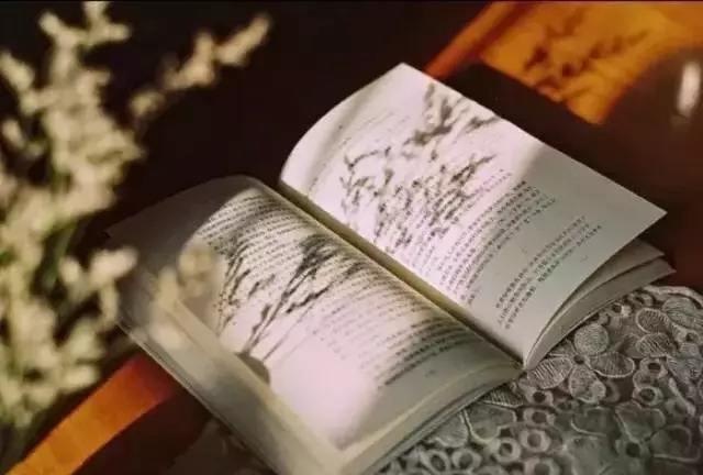 有什么免费的看小说的软件推荐