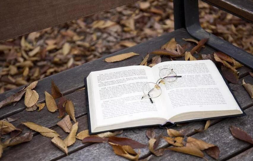 好用又免费的小说软件有哪些