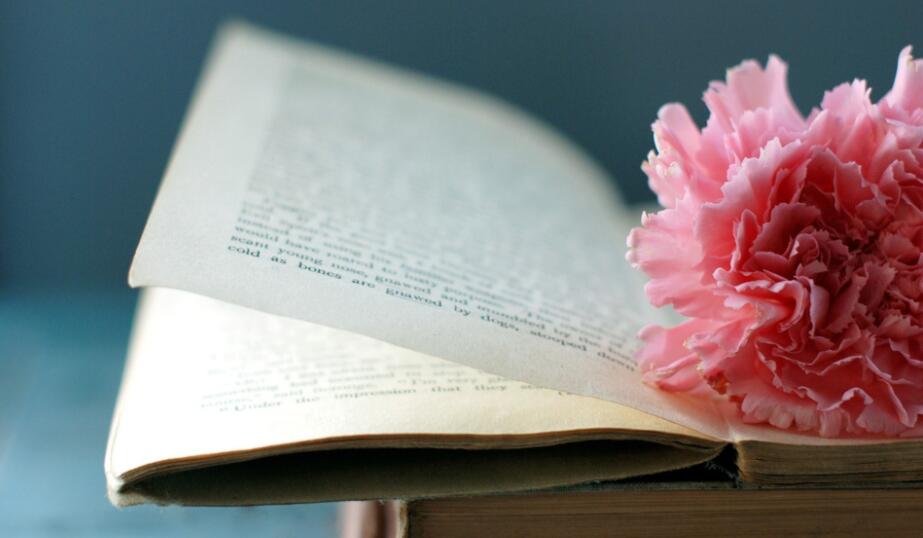 手机免费看书的软件