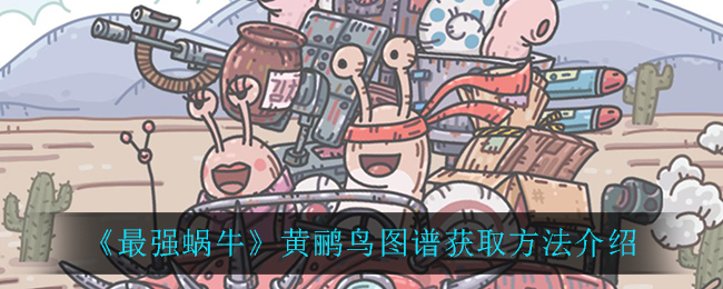 最强蜗牛怎么变成黄鹂鸟-选择黄鹂鸟的方法