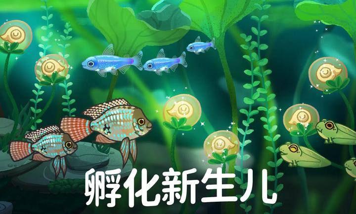 池趣游戏截图2