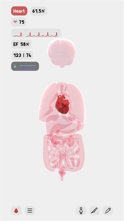 生命life 官方网站入口最新版本游戏截图1