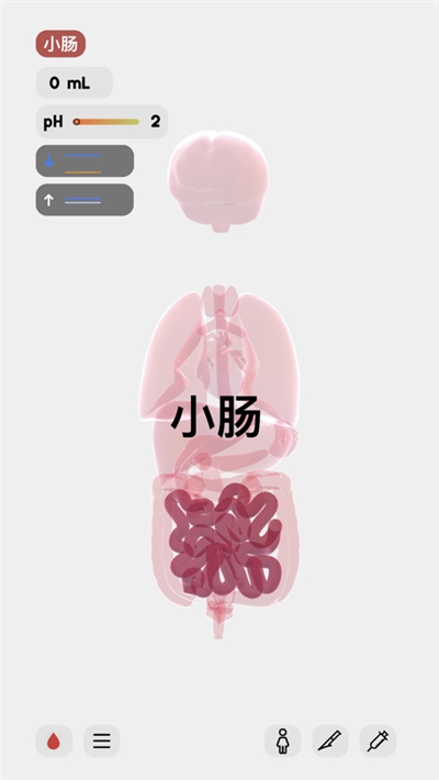 生命LIFE 中文版安卓下载游戏截图2