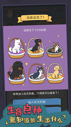 狗生模拟器 2025最新版游戏截图1