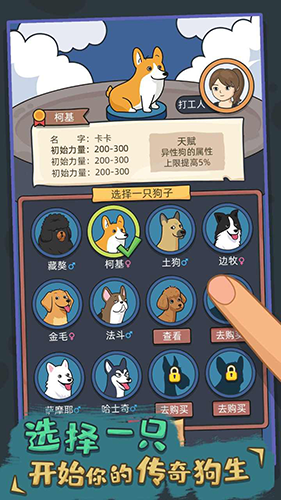 狗生模拟器 2025最新版游戏截图2