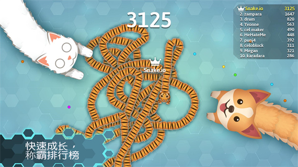 snakeio 无敌版游戏截图5