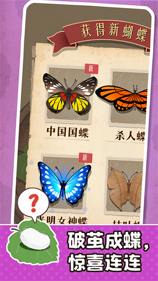 小小养蚕师 汉化安装入口游戏截图1