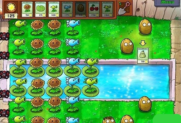 植物大战僵尸原版 官网正版游戏截图3