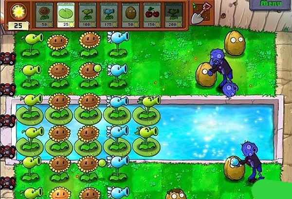 植物大战僵尸原版 官网正版游戏截图2