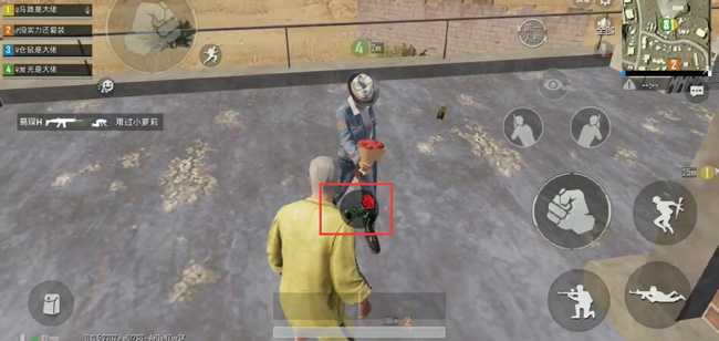 刺激战场花在哪里采