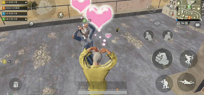 刺激战场花在哪里采