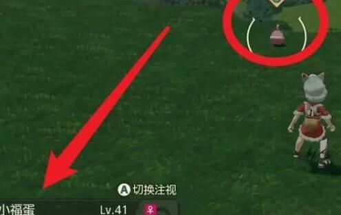 宝可梦传说阿尔宙斯小福蛋在哪?