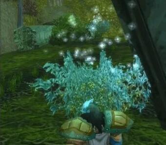 魔兽世界星尘废墟在哪?