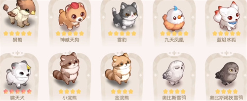 奥比岛手游五星宠物在哪抓