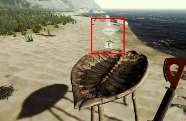 森林收集水的方法