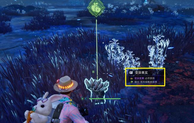 1703555518_364378.jpg 1703555518_364378.jpg