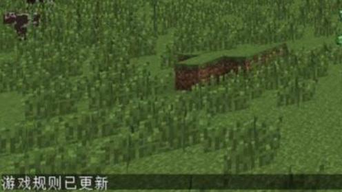 1703815093398.jpg 1703815093398.jpg